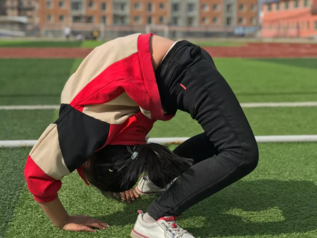 1573439387726548.png 1573439387726548.png