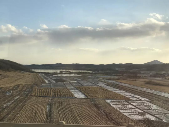 1571381669934047.png 1571381669934047.png